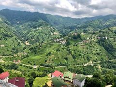 Kalkandere Hurmalık Köyü Resimleri 3