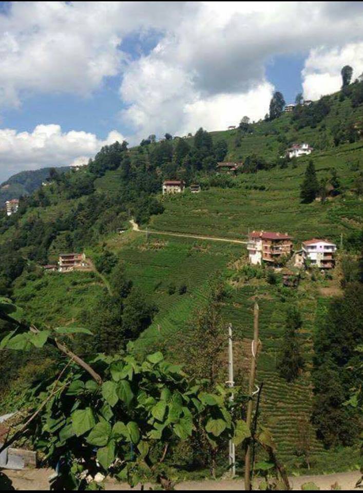 Kalkandere Hurmalık Köyü Resimleri 6