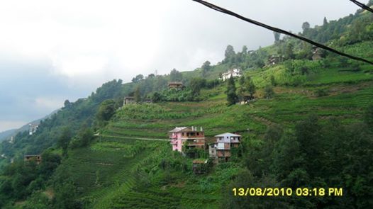 Kalkandere Hurmalık Köyü Resimleri 8