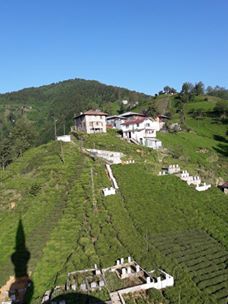 Kalkandere Hurmalık Köyü Resimleri 9