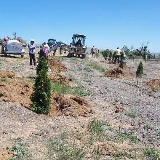 Sarıoğlan Üzerlik Köyü Resimleri 3
