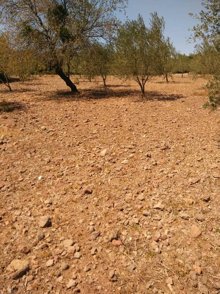 Bergama Gaylan Köyü Resimleri 1