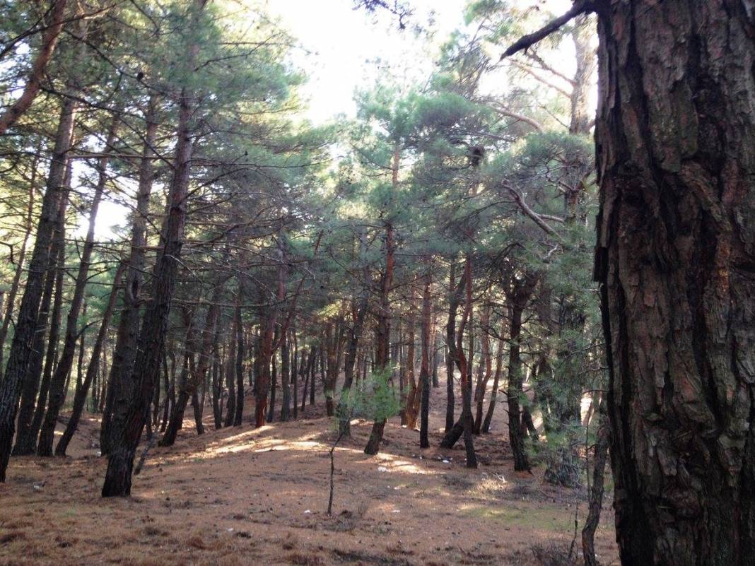 Bergama Göbeller Köyü Resimleri 3