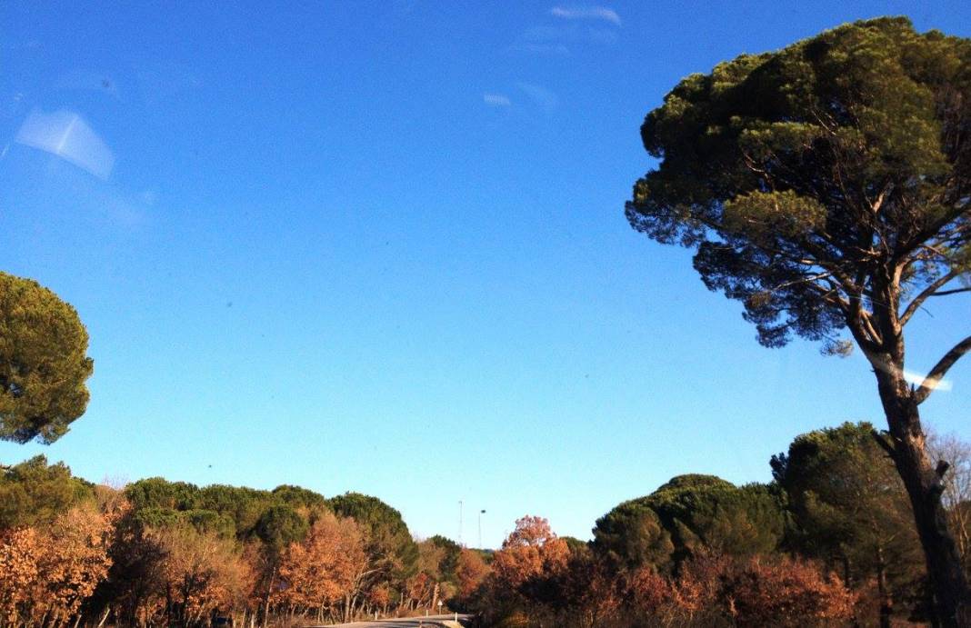 Bergama Göbeller Köyü Resimleri 4