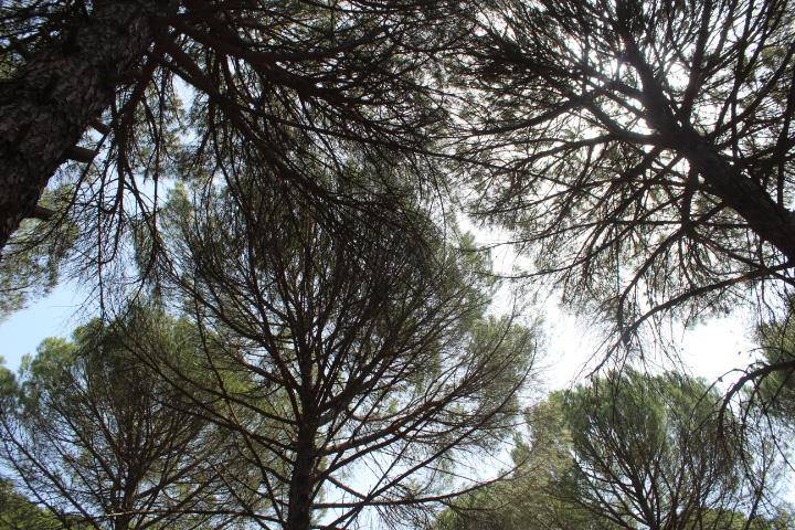 Bergama Göbeller Köyü Resimleri 7