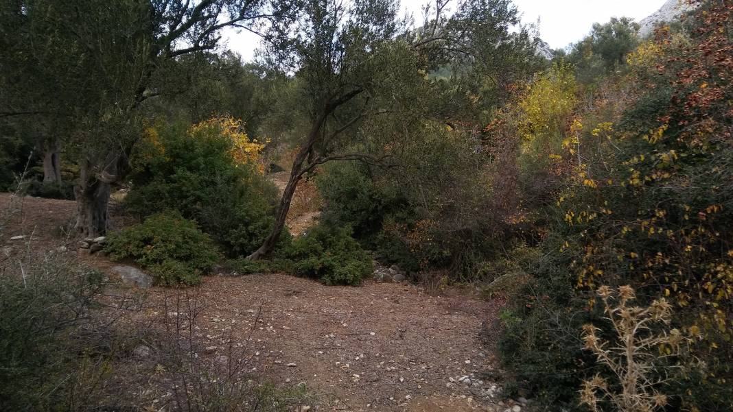 Bergama Göçbeyli Köyü Resimleri 3