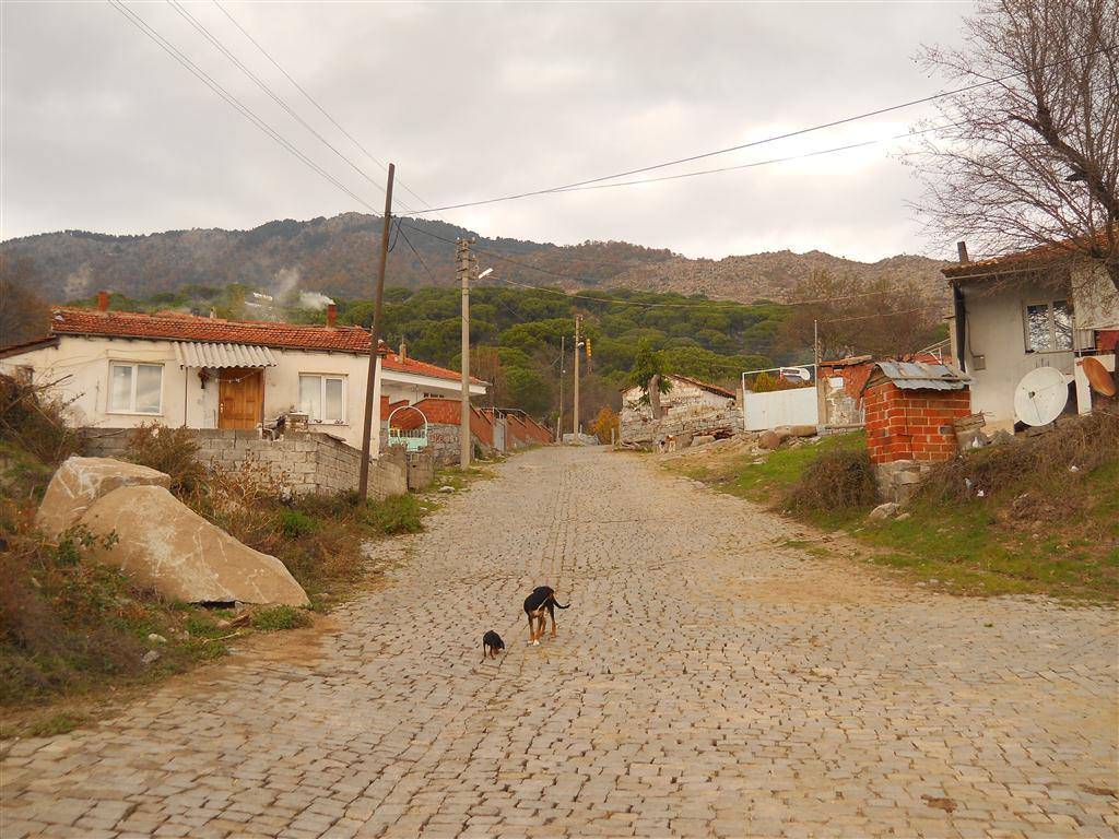 Bergama Hacıhamzalar Köyü Resimleri 6