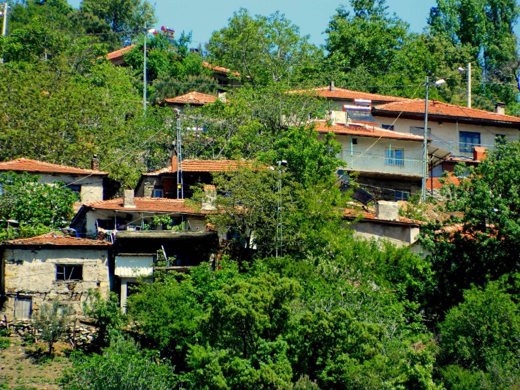 Bergama Hacılar Köyü Resimleri 11