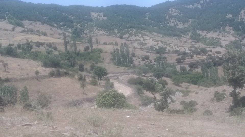 Bergama Hacılar Köyü Resimleri 2