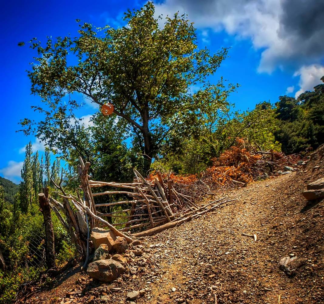 Bergama Hacılar Köyü Resimleri 3
