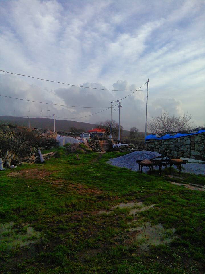 Bergama Hacılar Köyü Resimleri 6