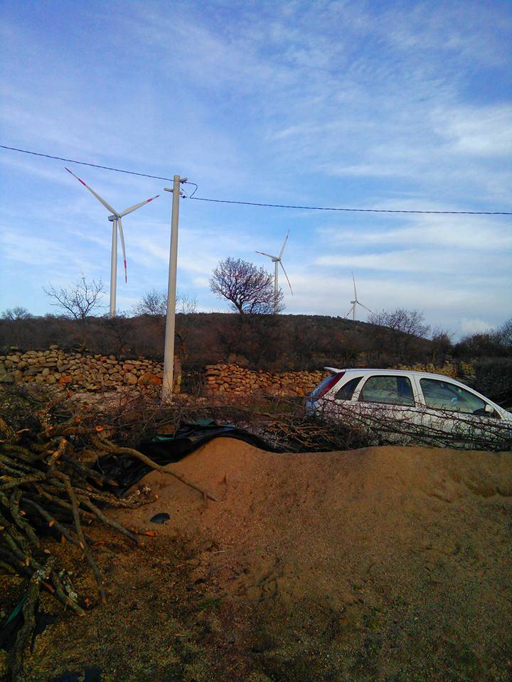 Bergama Hacılar Köyü Resimleri 8