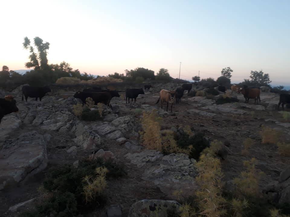 Bergama Hacılar Köyü Resimleri 9