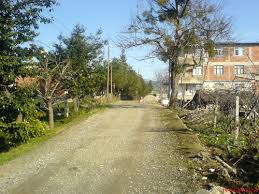 Kalkandere İncirli Köyü Resimleri 5