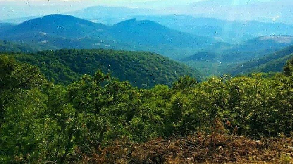 Bergama İkizler Köyü Resimleri 6