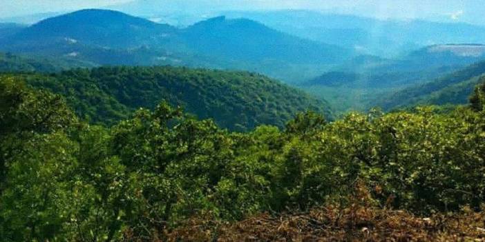 Bergama İkizler Köyü Resimleri