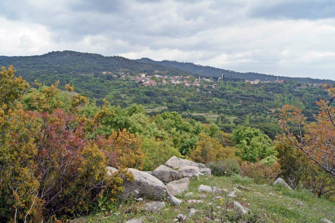 Bergama İnkılap Köyü Resimleri 3