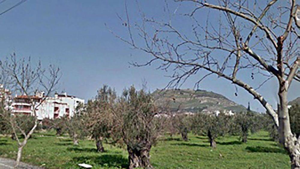 Bergama İnkılap Köyü Resimleri 4