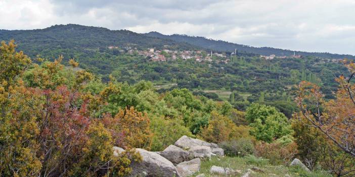 Bergama İnkılap Köyü Resimleri