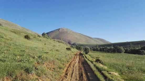 Sarız Altısöğüt  Köyü Resimleri 3