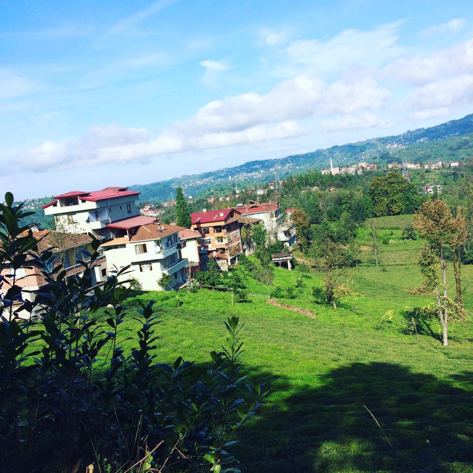 Kalkandere Ormanlı Köyü Resimleri 4