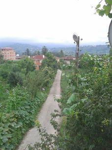 Kalkandere Ormanlı Köyü Resimleri 5