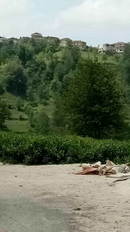 Kalkandere Ormanlı Köyü Resimleri 7