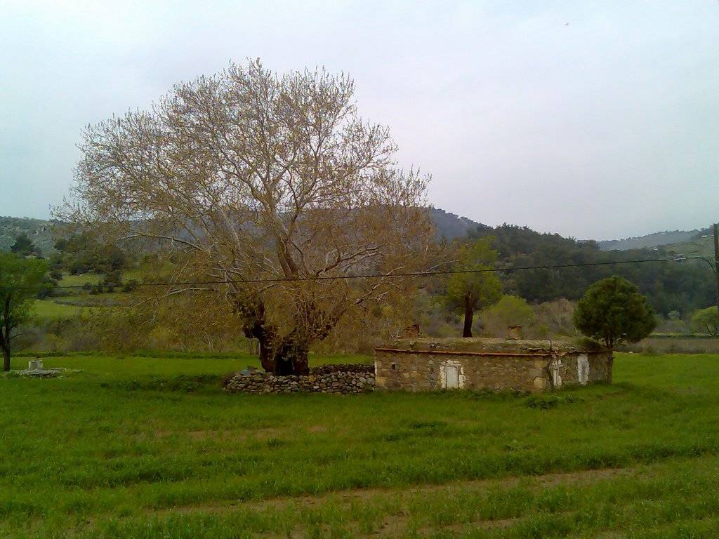 Bergama Kaleardı Köyü Resimleri 1