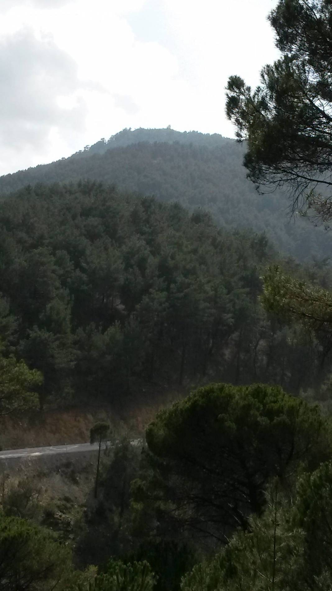 Bergama Kaplanköy Köyü Resimleri 2