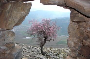 Bergama Kaplanköy Köyü Resimleri 3