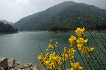 Bergama Kaplanköy Köyü Resimleri 4