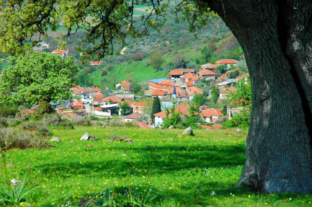 Bergama Karahıdırlı Köyü Resimleri 6