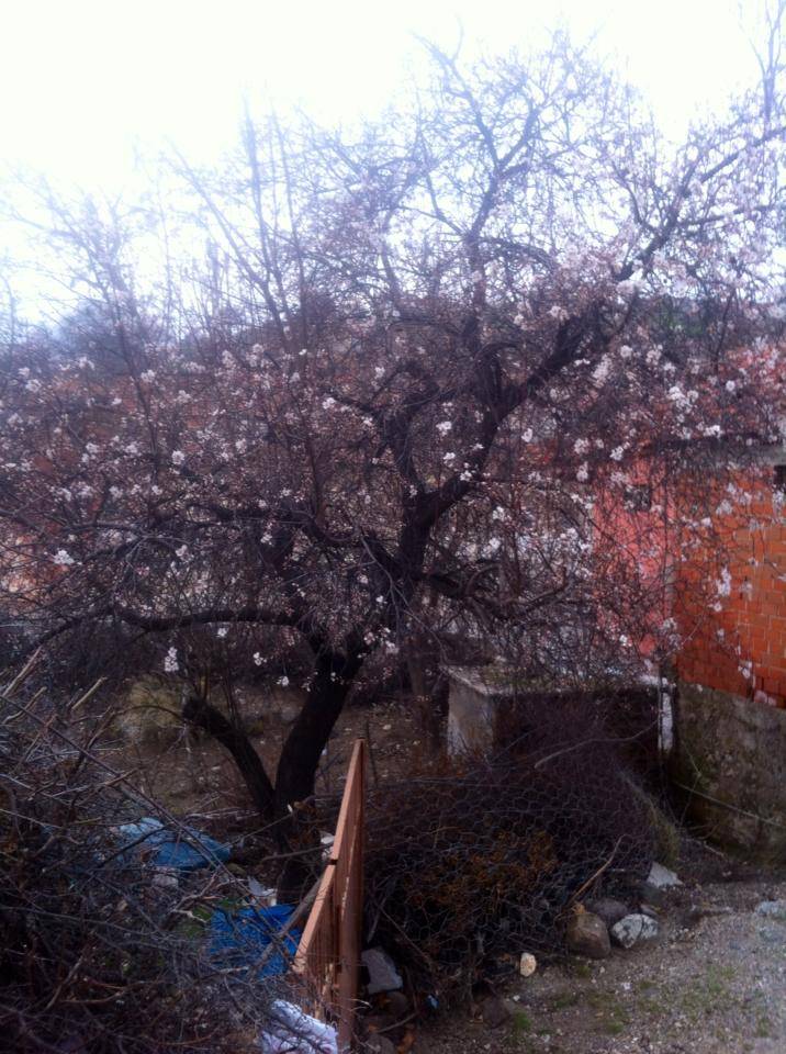 Bergama Karahıdırlı Köyü Resimleri 7