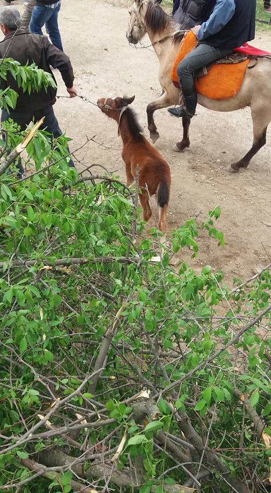 Bergama Karalar Köyü Resimleri 4