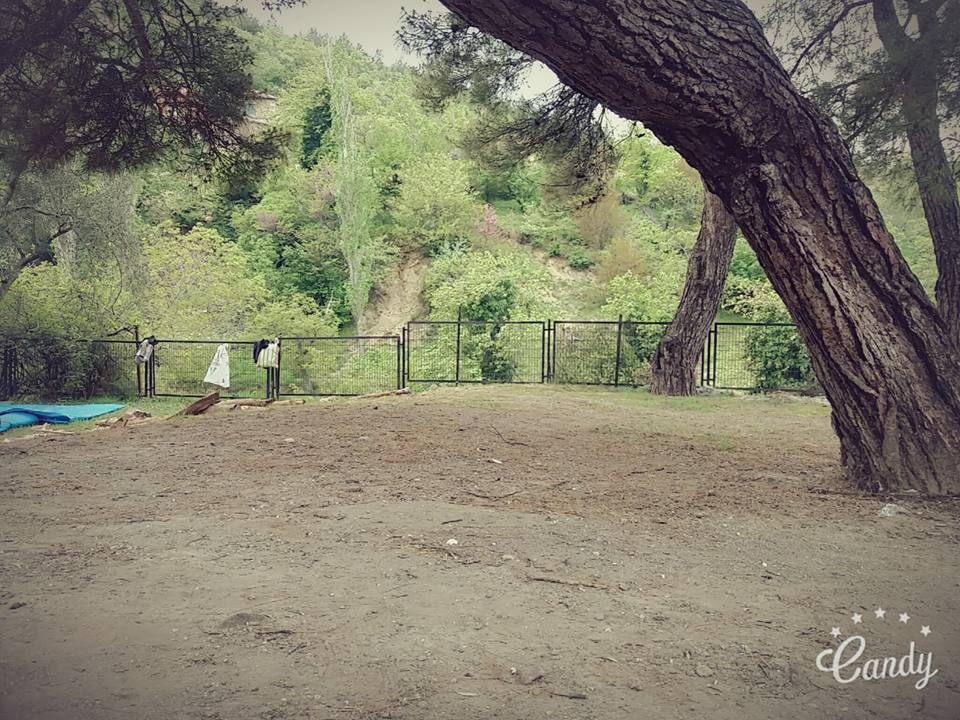 Bergama Karaveliler Köyü Resimleri 3