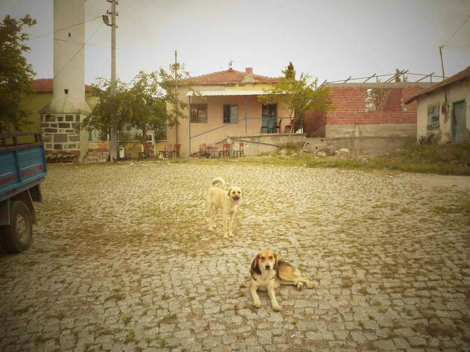 Bergama Kaşıkçı Köyü Resimleri 4