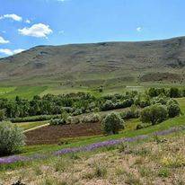 Sarız Çatalpınar  Köyü Resimleri ü 5