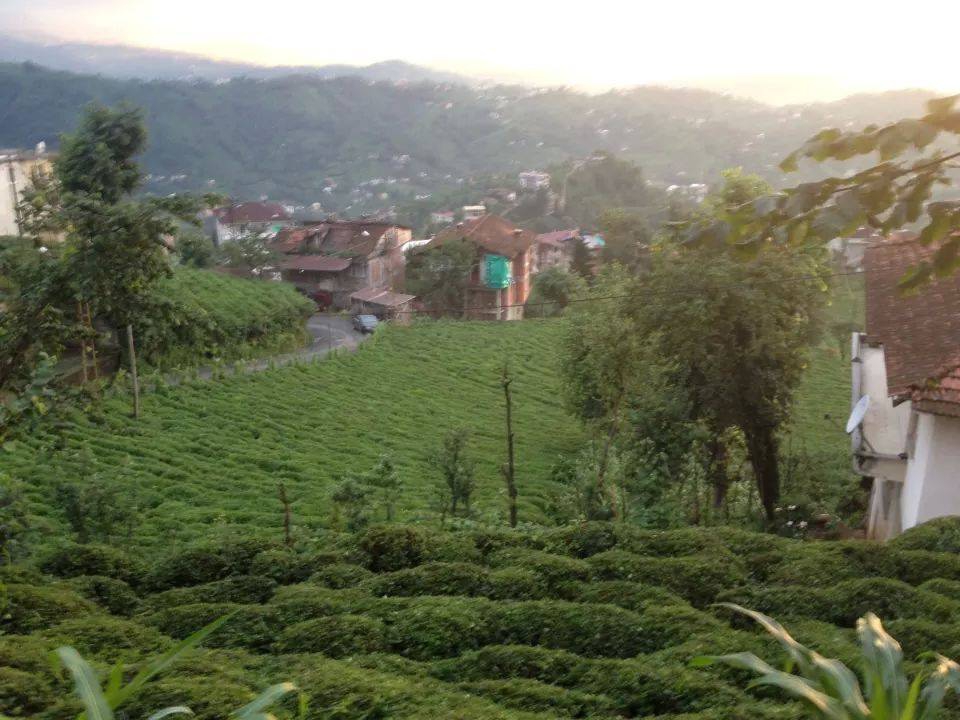 Kalkandere Soğuksu Köyü Resimleri 1