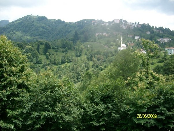 Kalkandere Soğuksu Köyü Resimleri 10