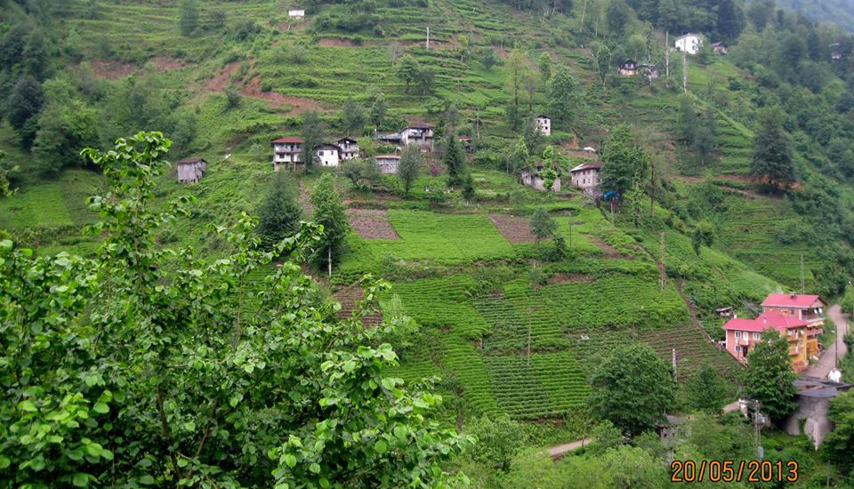 Kalkandere Soğuksu Köyü Resimleri 2