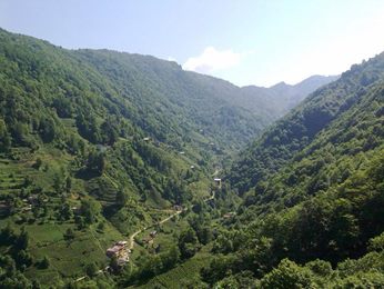 Kalkandere Soğuksu Köyü Resimleri 7