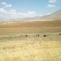 Sarız Dayoluk Köyü Resimleri 2