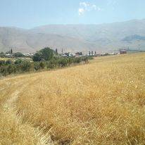 Sarız Dayoluk Köyü Resimleri 3