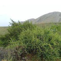 Sarız Fettahdere Köyü Resimleri 8