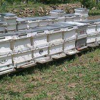 Sarız Gümüşali  Köyü Resimleri 6