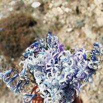 Sarız İncedere Köyü Resimleri 4