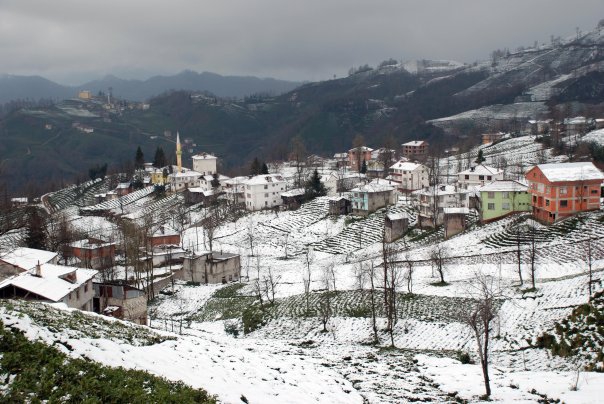 Kalkandere Ünalan Köyü Resimleri 3