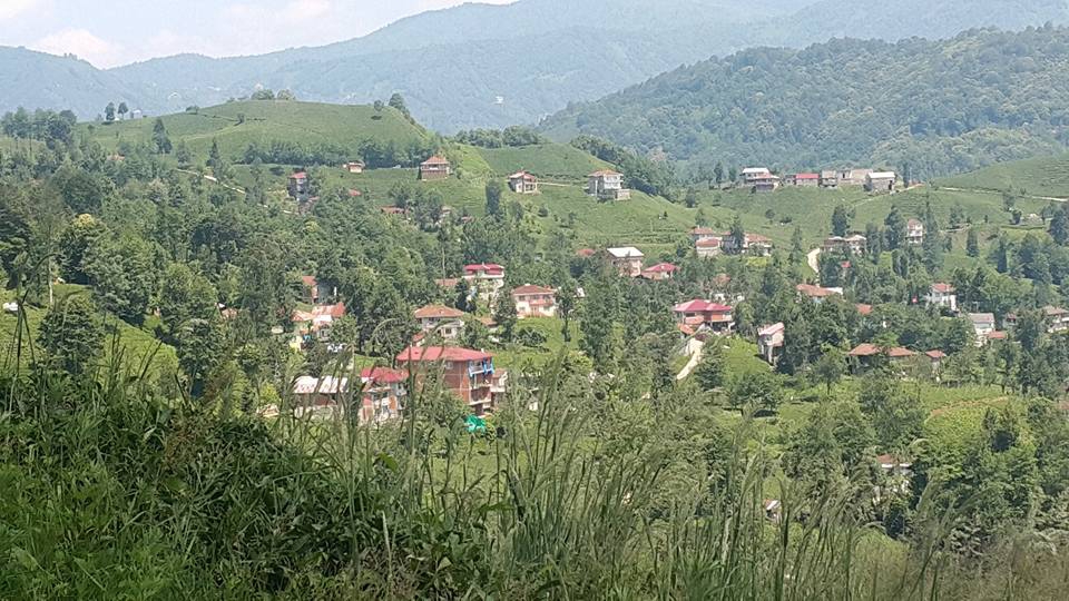 Kalkandere Ünalan Köyü Resimleri 7