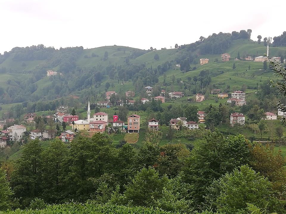 Kalkandere Ünalan Köyü Resimleri 8