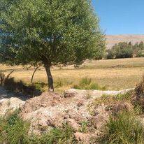 Sarız Kuşçu Köyü Resimleri 19